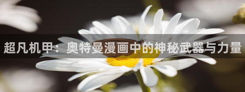 歪歪漫画免费漫画页面在线看漫画免费