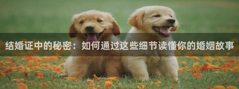 歪歪漫画网站免费入口