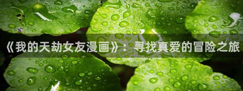 韩国歪歪漫画免费版：《我的天劫女友漫画》：寻找真爱的冒险之旅