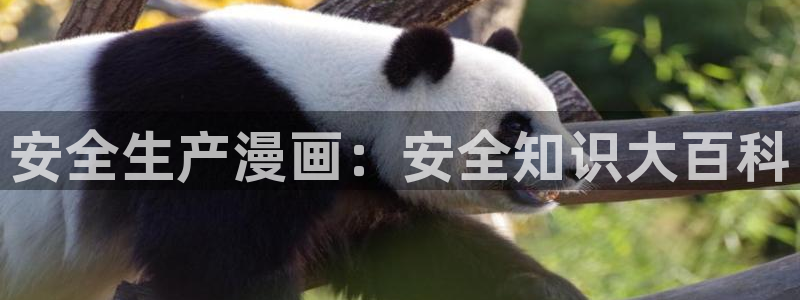 歪歪漫画在线看网站