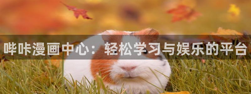 歪歪漫画韩版入口