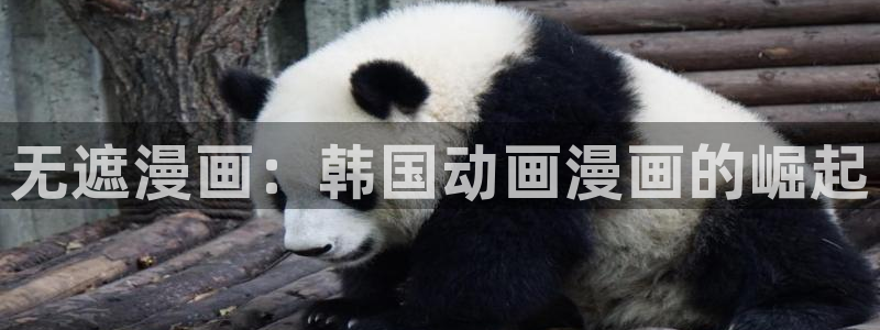 歪歪漫画网免费版在线观看