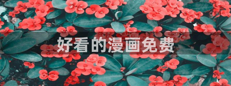 歪歪漫画网页平台