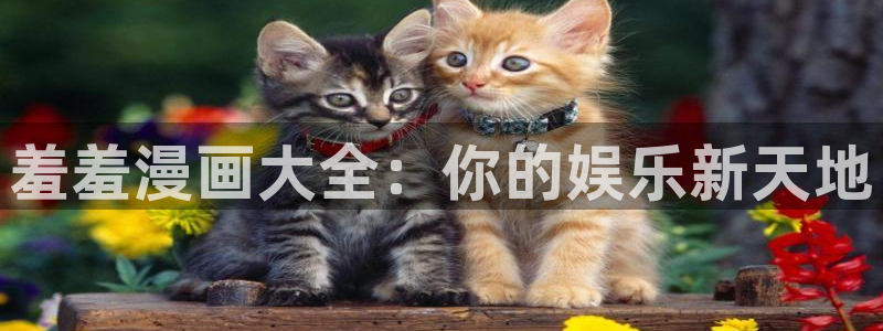歪歪漫画在线看免费