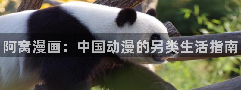 歪歪漫画在线观看免费完整