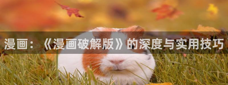 歪歪漫画成年人在线观看