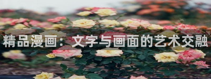 歪歪漫画韩网首页