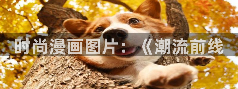 歪歪漫画在线阅读破解版