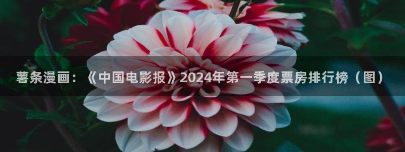 羞羞歪歪漫画在线看：薯条漫画：《中国电影报》2024年第一季度票房排行榜（图）