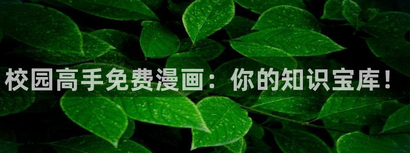好看的韩国漫画_韩漫在线免费阅读-歪歪漫画网：校园高手免费漫画：你的知识宝库！
