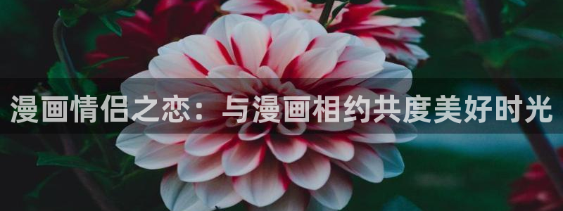 歪歪漫画的：漫画情侣之恋：与漫画相约共度美好时光