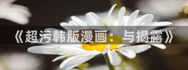 歪歪漫画官网免费入口：《超污韩版漫画：与揭露》