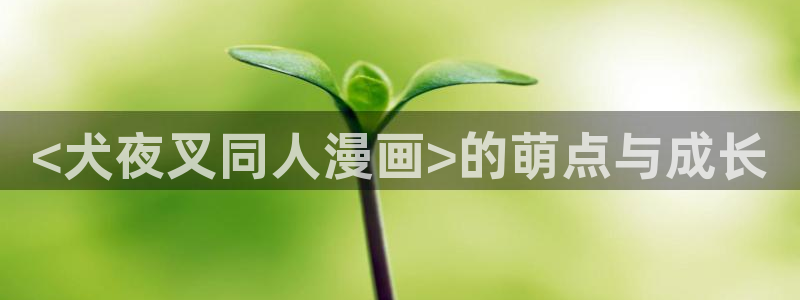 歪歪漫画页面免费漫画网：<犬夜叉同人漫画>的萌点与成长